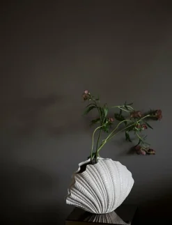 Byon Vase Shell - Tulpanvas| Vaser