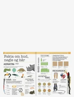 Barn GLOBE Barnböcker|Vilde spørgsmål - Vilde svar KROPPEN - Pedagogisk barnbok