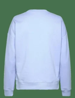 Kvinnor adidas Sportswear Sweatshirts|W LIN FT SWT - Sweatshirts