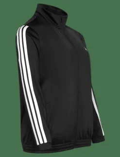 adidas Sportswear W 3S TT TRIC - Sweatshirts|Kvinnor Sweatshirts