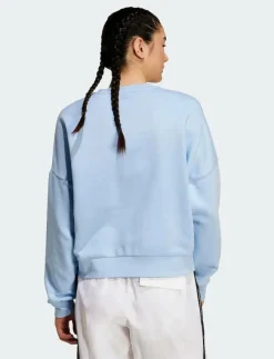 Kvinnor adidas Sportswear Sweatshirts|W SL FC SWT - Sweatshirts