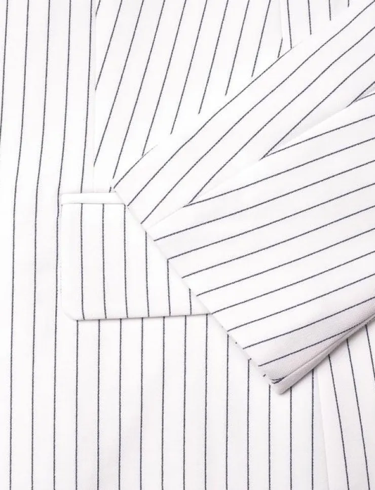Kvinnor French Connection Kavajer|WHISPER PINSTRIPE BLAZER - Enkelknäppta kavajer
